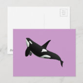 Killer Whale, Orcinus Orca Briefkaart (Voorkant / Achterkant)