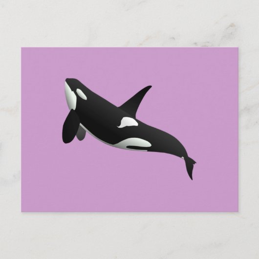 Killer Whale, Orcinus Orca Briefkaart (Voorkant)
