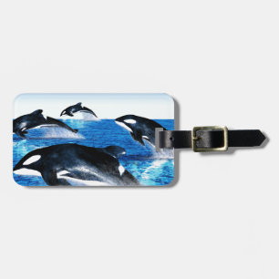 Killer Whale Pod Bagagelabel