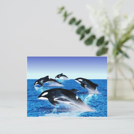 Killer Whale Pod Briefkaart (Staand voorkant)