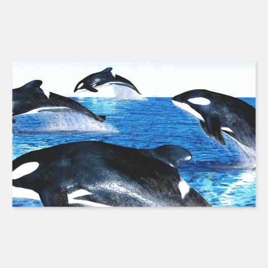 Killer Whale Pod Rechthoekige Sticker (Voorkant)
