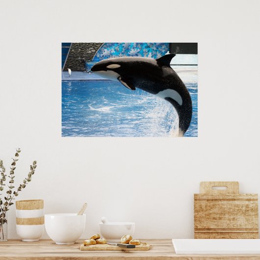 Killer Whale Poster (Keuken)