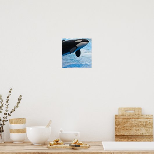 Killer Whale Print (Keuken)