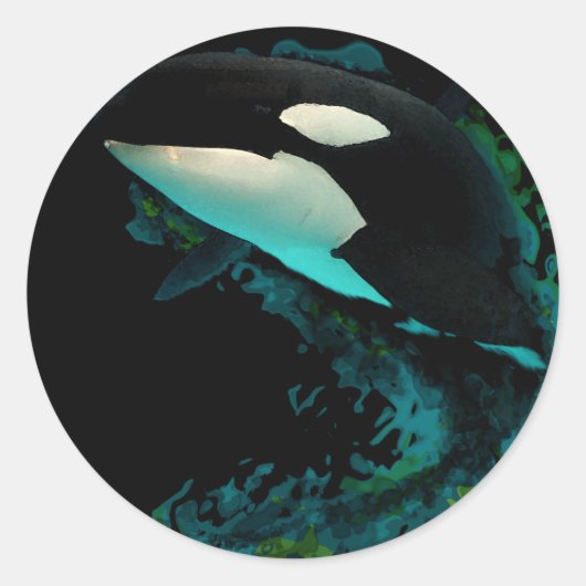 Killer Whale Ronde Sticker (Voorkant)