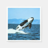 Killer Whale Servet (Voorkant)
