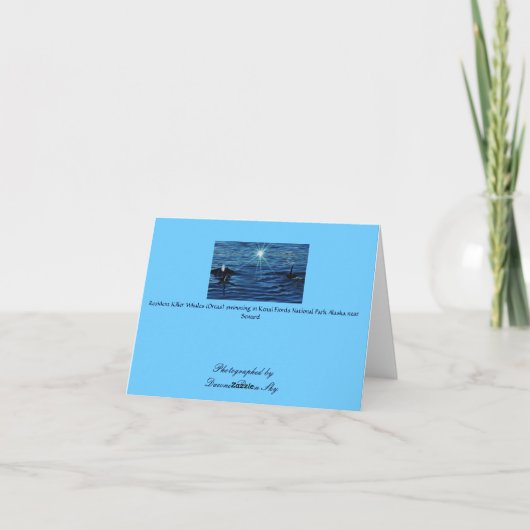 Killer Whale Starlight Zee inspirerend groet Kaart (Achterkant)