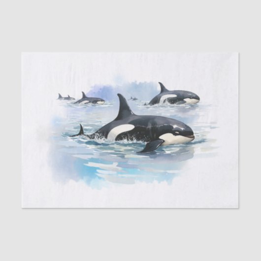 Killer Whale Tissuepapier (Voorkant)