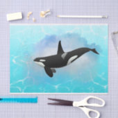 Killer Whale Tissuepapier (Craft)