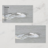 Killer whale visitekaartje (Voorkant / Achterkant)