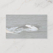 Killer whale visitekaartje (Achterkant)