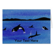 Killer Whales (Voorkant Horizontaal)