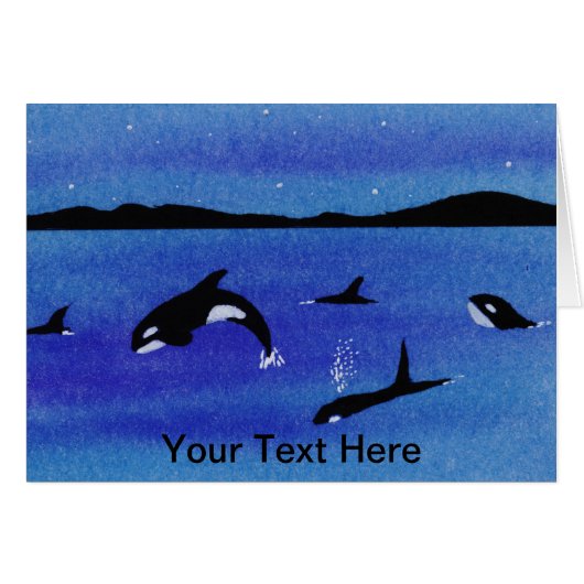 Killer Whales (Voorkant Horizontaal)