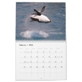 Killer whales 12-maandenkalender kalender (Feb 2026)