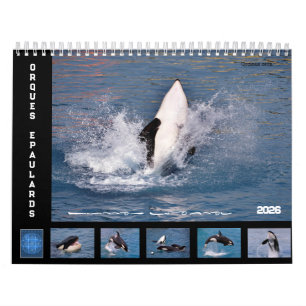 Killer whales 12-maandenkalender kalender