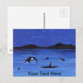 Killer Whales Briefkaart (Voorkant / Achterkant)