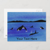 Killer Whales Briefkaart (Voorkant / Achterkant)