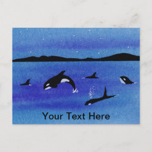 Killer Whales Briefkaart