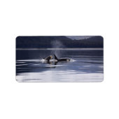Killer Whales Etiket (Voorkant)