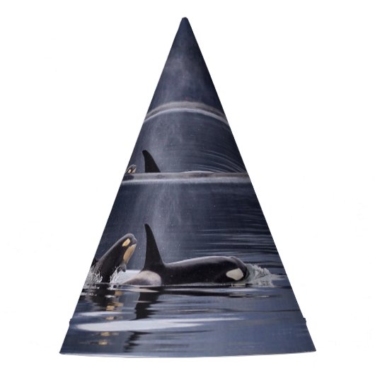 Killer Whales Feesthoedjes (Voorkant)