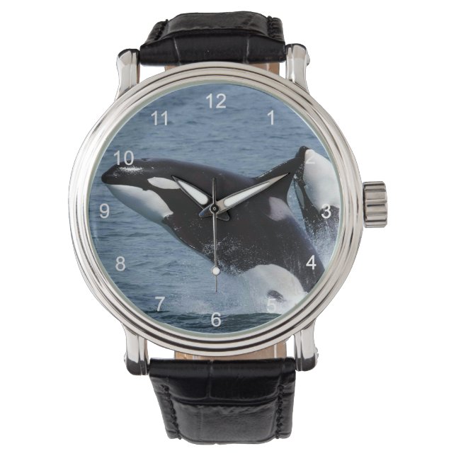 Killer whales horloge (Voorkant)