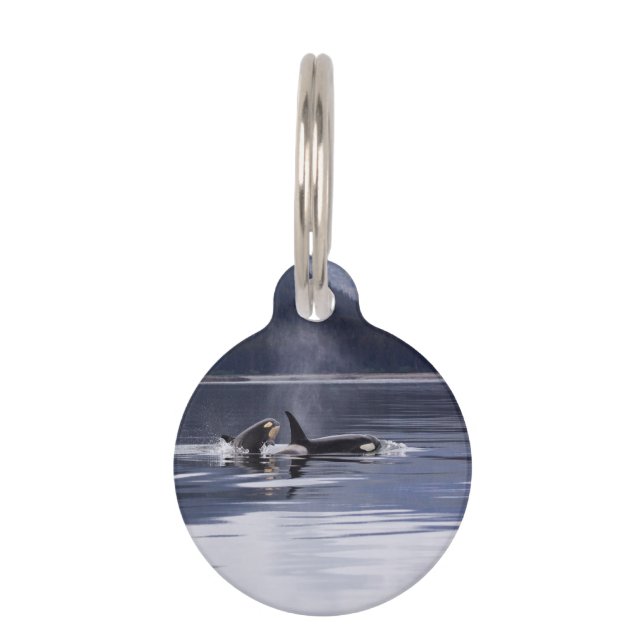 Killer Whales Huisdierpenning (Achterkant)