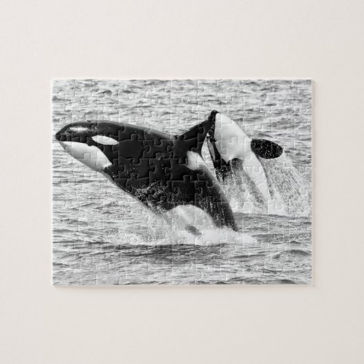 Killer Whales in monochroom, Jigzaag Puzzle Legpuzzel (Horizontaal)
