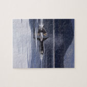 Killer Whales Legpuzzel (Horizontaal)