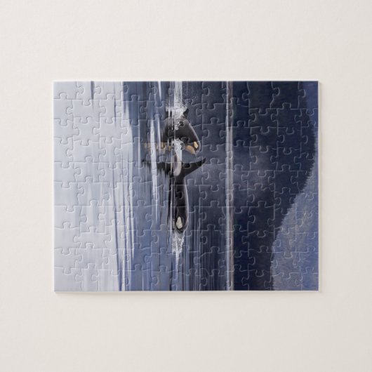 Killer Whales Legpuzzel (Horizontaal)