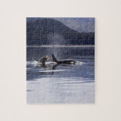 Killer Whales Legpuzzel (Verticaal)