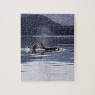 Killer Whales Legpuzzel