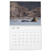 Killer Whales of the Pacific Northwest - Calendar Kalender (Mar 2026)
