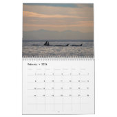 Killer Whales of the Pacific Northwest - Calendar Kalender (Feb 2026)