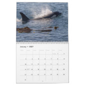 Killer Whales of the Pacific Northwest - Calendar Kalender (Jan 2027)