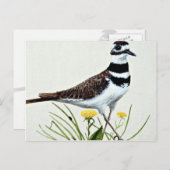 Killerbloemen Briefkaart (Voorkant / Achterkant)