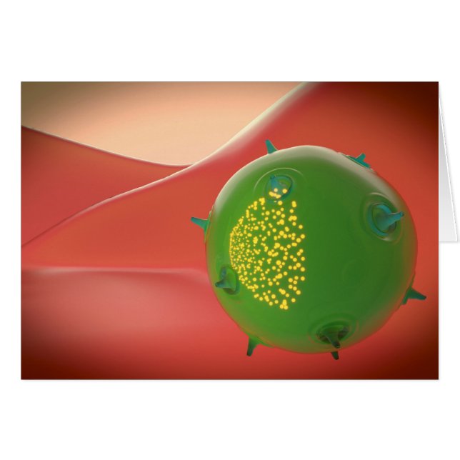 Killercel van het geïnhaleerde immuunsysteem (Voorkant Horizontaal)