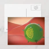 Killercel van het geïnhaleerde immuunsysteem briefkaart (Voorkant / Achterkant)