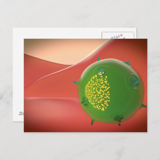 Killercel van het geïnhaleerde immuunsysteem briefkaart (Voorkant / Achterkant)