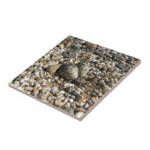 Killereieren in grind tegeltje (Zijkant)