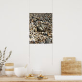 Killereieren in het Poster Rocks (Keuken)