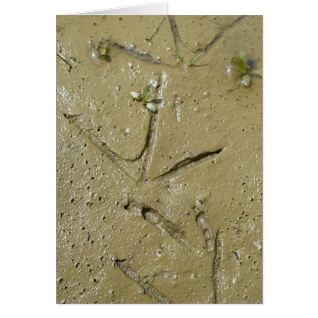 Killersporen (Voorkant)