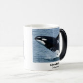 Killerwhale , Orcinus orca Magische Mok (Voorkant rechts)