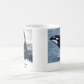 Killerwhale , Orcinus orca Magische Mok (Center)
