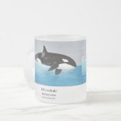 Killerwhale , Orcinus orca Matglas Koffiemok (Voorkant links)