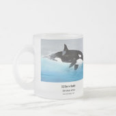 Killerwhale , Orcinus orca Matglas Koffiemok (Links)