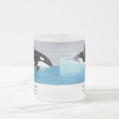 Killerwhale , Orcinus orca Matglas Koffiemok (Center)