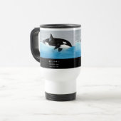 Killerwhale , Orcinus orca Reisbeker (Voorkant links)