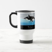 Killerwhale , Orcinus orca Reisbeker (Links)