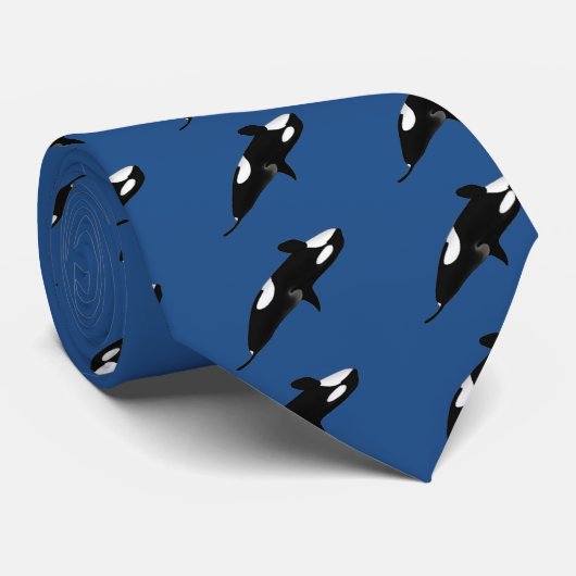 Killerwhale, Orcinus orca Stropdas (Opgerold)