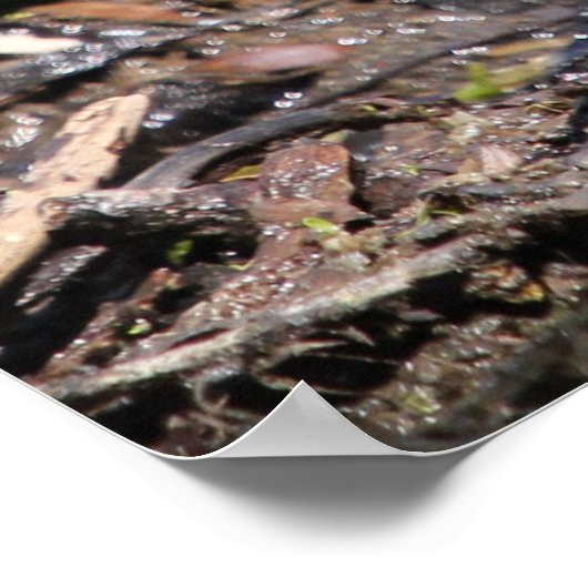 Killhert Bird Poster (Hoek)