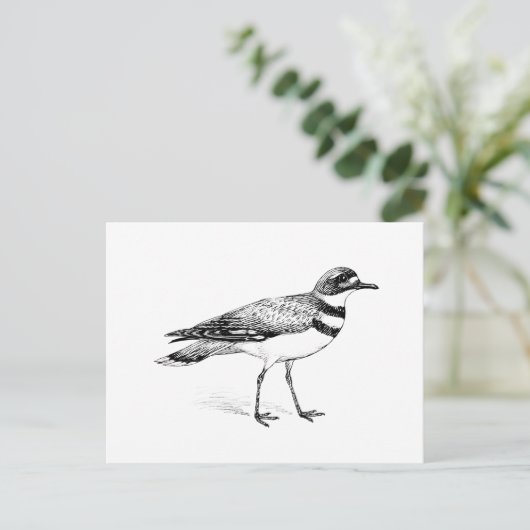 Killhert Bird Sketch Briefkaart (Staand voorkant)